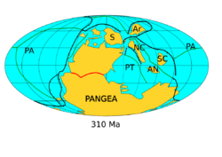 Map of continents in the Late Carboniferous showing Laurussia and Gondwana combined to form Pangea. Siberia lays to the north, Amuria to its northeast. North and South China and Annamia form the northeastern margin of the Paleo-Tethys.
