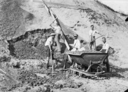 Sauriergrabung in Trossingen 1912.jpg