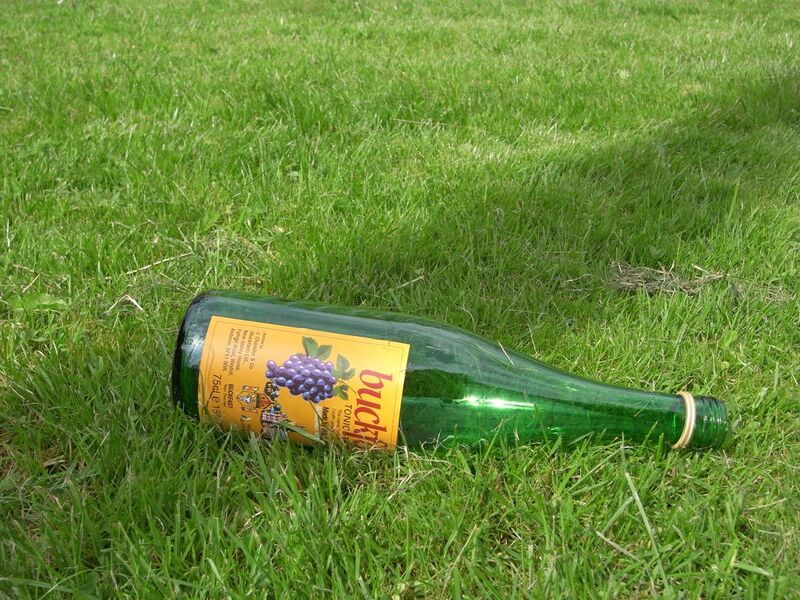 File:Photo of an empty bottle of Buckfast Tonic Wine.JPG