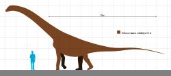 Choconsaurus Scale.svg