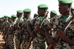 Soldiers lined up in a row, with green caps, carrying rifles