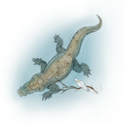 Swamp King (Paludirex gracilis).png