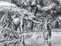 Pleistocene mammals of Chile.jpg