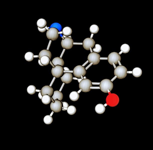 File:(+)-3-Hydroxymorphinan.png