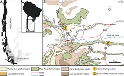Austral Basin - Geologic Map - Mata Amarilla, La Anita & Piedra Clavada Formations, Argentina.jpg