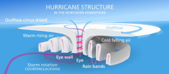A schematic diagram of a tropical cyclone