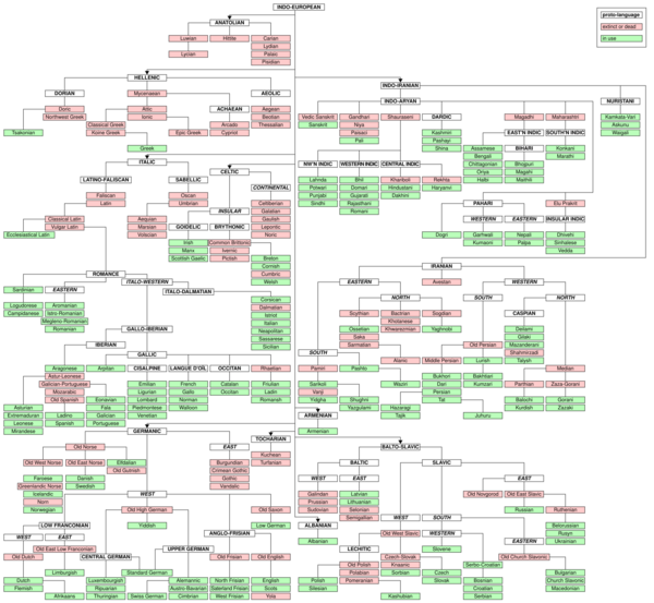Tree diagram showing genetic relationships among languages