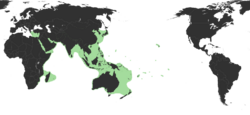 Sepioteuthis lessoniana distribution range.png