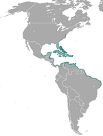 Coastal areas of the Caribbean sea