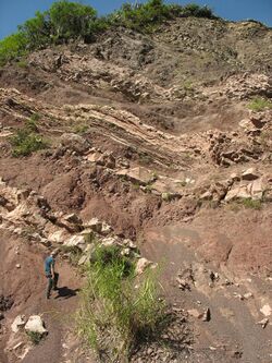La Quinta Formation near its type section the Venezuelan Andes.JPG