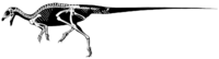 Hexinlusaurus multidens.png