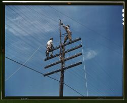 Men working on telephone lines, probably near a TVA 1a35245v.jpg