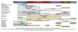 2023-12-12 Antibiotics Coverage Diagram.jpg