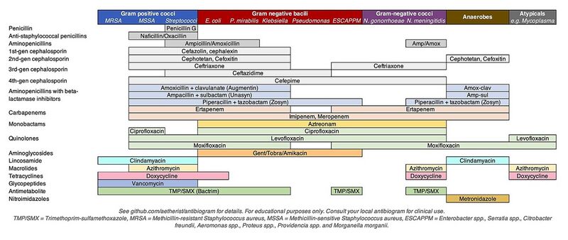 File:2023-12-12 Antibiotics Coverage Diagram.jpg