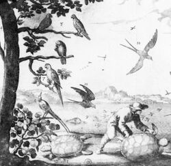 A sepia line drawing showing five birds sitting on a tree, a black bird in flight and a tortoise or turtle on the ground underneath.