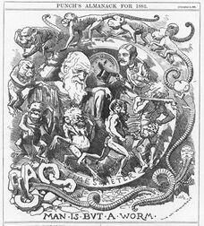 Darwin's figure is shown seated, dressed in a toga, in a circular frame labelled "TIME'S METER" around which a succession of figures spiral, starting with an earthworm emerging from the broken letters "CHAOS" then worms with head and limbs, followed by monkeys, apes, primitive men, a loin cloth clad hunter with a club, and a gentleman who tips his top hat to Darwin