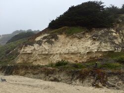 Purisima Formation sandstone at San Gregorio State Beach.jpg