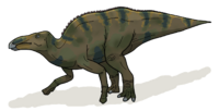 Shantungosaurus life.png