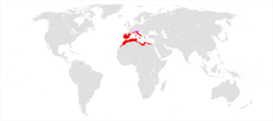 Tarentola mauritanica range map IUCN.png