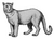 De vroeg-pleistocene sabeltandkat, Homotherium crenatidens (2008) Puma pardoides.png