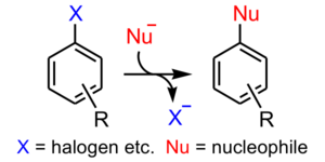 Aromatic nucleophilic substitution