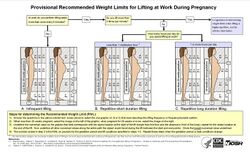 An infographic showing a flow chart leading to three diagrams, each showing two human figures depicting different lengths of gestation, with a grid showing weight limits for different locations in front of the body