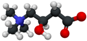 Carnitine-3D-structure.png
