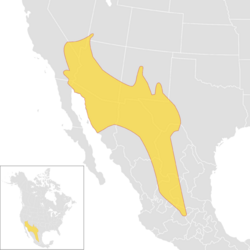 Toxostoma crissale species distribution map.svg