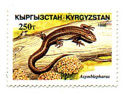 Stamp of Kyrgyzstan 113.jpg