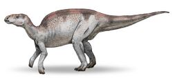 Probactrosaurus v3.jpg