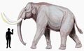 Steppe mammoth size 2.jpg