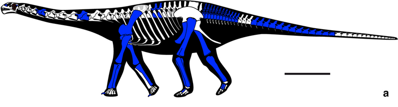 File:Amanzia reconstruction (cropped).png
