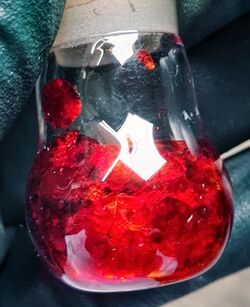 A bright red substance in a small glass flask, held by gloved fingers