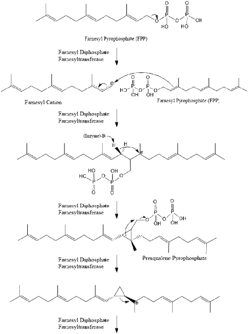 Squalene Synthesis.gif