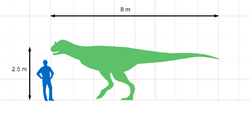 Size comparison of Carnotaurus