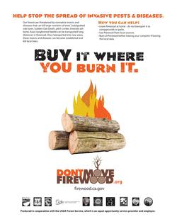 Poster asking campers to not move firewood around, avoiding the spread of invasive species