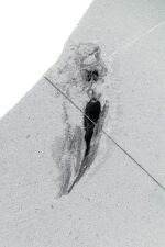 Odontogriphus ROM61515.JPG