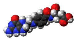 Space-filling model of the tetrahydrofolic acid molecule
