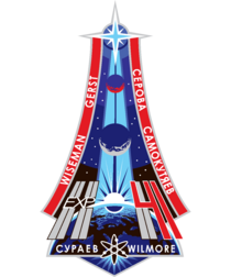 ISS Expedition 41 Patch.svg