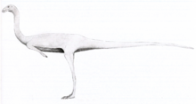 Huinculsaurus LM.png