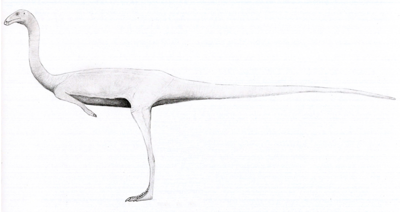 File:Huinculsaurus LM.png