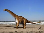 Hypselosaurus NT small.jpg