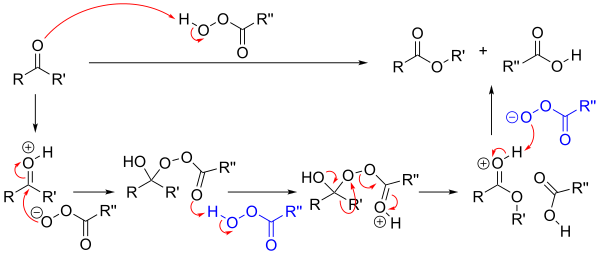 Reaction mechanism of the Baeyer-Villiger oxidation.