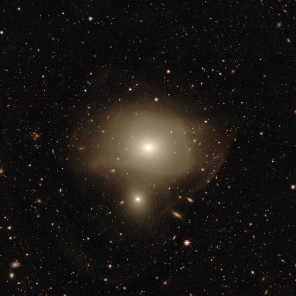 File:NGC 3640 NGC 3641 legacy dr10.jpg