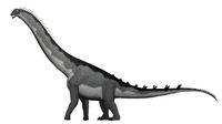 Alamosaurus-sanjuanensis.jpg