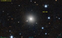 NGC 1000 PanS.jpg