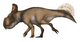 Protoceratops andrewsi Restoration.png