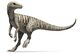 Herrerasaurus ischigualastensis Illustration.jpg
