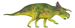 Furcatoceratops.png
