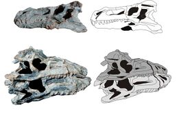 Decuriasuchus1.jpg